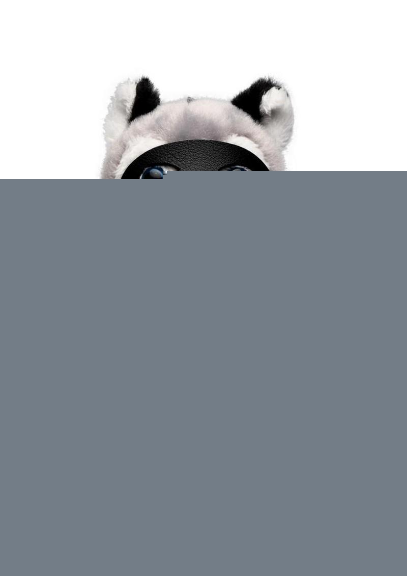 Master Series Max The Fetish Pup Keychain - White